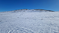 Rostro_20230401_64281b830a563.jpg
