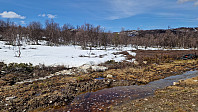 Rostro_20230516_646385fc14a27.jpg