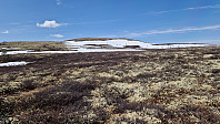 Rostro_20230516_646385fedcc4e.jpg