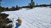 Rostro_20230520_6468e8fe00855.jpg