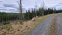 Rostro_20230528_6473aad303f3e.jpg