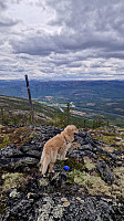 Rostro_20230603_647b656a66c05.jpg