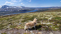 Rostro_20230610_6484ab0051c6d.jpg