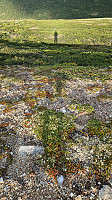 Rostro_20230622_64949dc3417b4.jpg