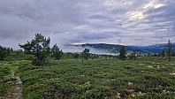 Rostro_20230703_64a32f70b1994.jpg