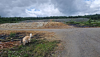 Rostro_20230716_64b40c9fdec49.jpg