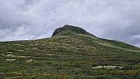 Rostro_20230716_64b40ca2a1498.jpg