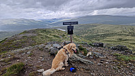 Rostro_20230716_64b40ca3e4083.jpg