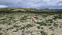 Rostro_20230722_64bc339dcd260.jpg