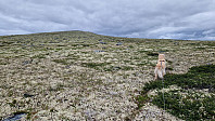 Rostro_20230722_64bc339f3274f.jpg