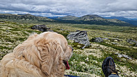 Rostro_20230722_64bc33a091b49.jpg