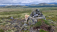 Rostro_20230722_64bc33a1e3dd1.jpg
