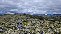 Rostro_20230722_64bc33a3a4ecc.jpg
