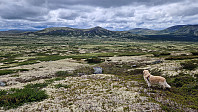 Rostro_20230722_64bc395cab0d4.jpg