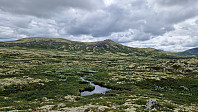 Rostro_20230722_64bc395e53421.jpg