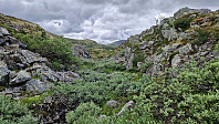 Rostro_20230722_64bc395fd13d2.jpg