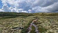 Rostro_20230728_64c3e9526cf29.jpg