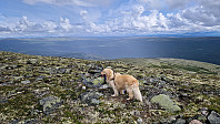 Rostro_20230728_64c3e953e5325.jpg