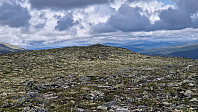 Rostro_20230728_64c3e956656bb.jpg