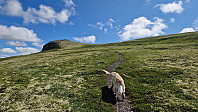 Rostro_20230729_64c5437124efd.jpg
