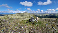 Rostro_20230729_64c54373c8879.jpg