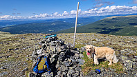 Rostro_20230729_64c543765efed.jpg