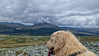Rostro_20230802_64ca8fdd7c74f.jpg