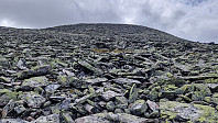 Rostro_20230802_64ca8fdeb56ab.jpg