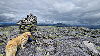 Rostro_20230802_64ca8fe00ee17.jpg