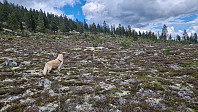 Rostro_20230812_64d7e83051f43.jpg