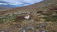 Rostro_20230910_64fdca49b0e56.jpg