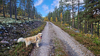 Rostro_20230923_650efe6497d73.jpg