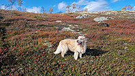 Rostro_20230923_650efe6938348.jpg
