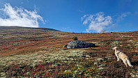 Rostro_20230923_650efe6d93f71.jpg