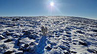 Rostro_20231029_653e7bc000b16.jpg