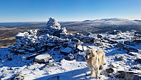 Rostro_20231029_653e7bcaea044.jpg