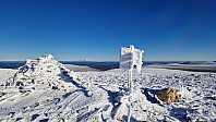 Rostro_20231029_653e81a3c62ba.jpg