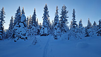 Rostro_20231202_656b80b33f296.jpg