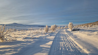 Rostro_20231214_657b1311dba6f.jpg