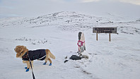 Rostro_20240113_65a2aa9556ef9.jpg