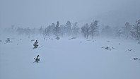 Rostro_20240203_65be43527c0d2.jpg