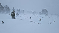 Rostro_20240203_65be43537d1e8.jpg