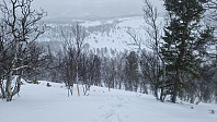 Rostro_20240203_65be435497153.jpg