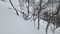 Rostro_20240203_65be4355e6ea5.jpg