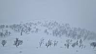 Rostro_20240203_65be43575d394.jpg