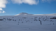 Rostro_20240224_65d9ec2047515.jpg