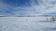 Rostro_20240308_65eb2be734bcf.jpg