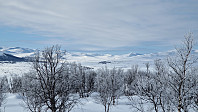 Rostro_20240308_65eb2beb898c6.jpg