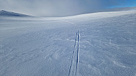 Rostro_20240310_65edaaa246b52.jpg