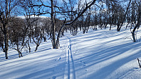 Rostro_20240310_65edaaa7112a7.jpg